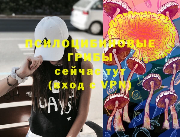 индика Балабаново