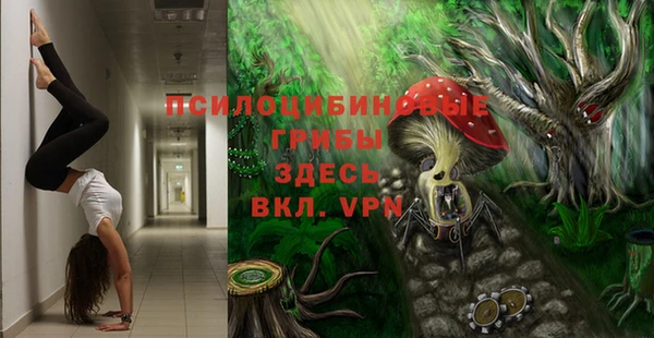 индика Балабаново