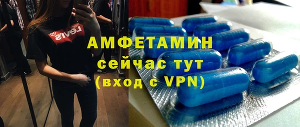 индика Балабаново