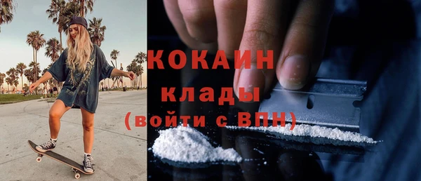 индика Балабаново