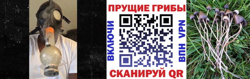 Псилоцибиновые грибы ЛСД  цена наркотик  Кувандык 